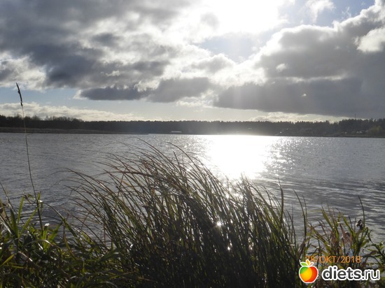 30 ����: ����� � �������, 2018