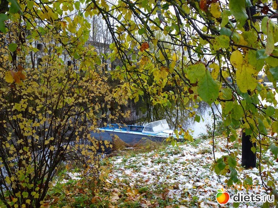 31 ����: ����� � �������, 2018