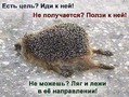 Мотиватор