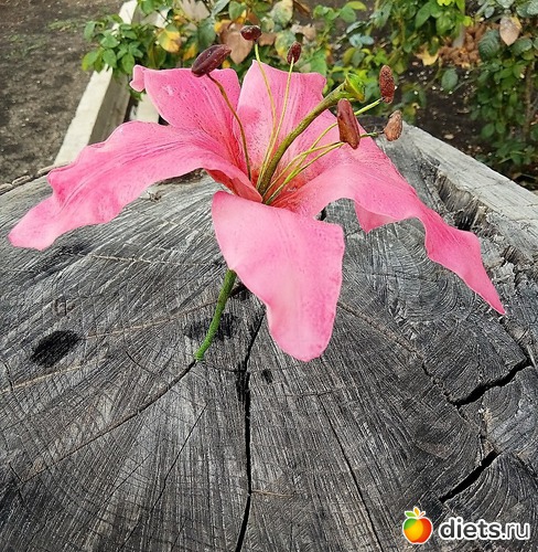 35 ����: �������� � ��������� ����������