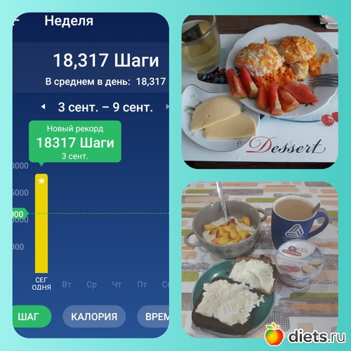 17 ����: ���������