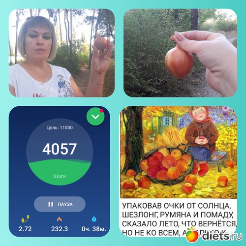 18 ����: ���������