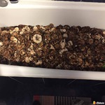 ��������-������� �������. ��� ����� � ���. � ��������.