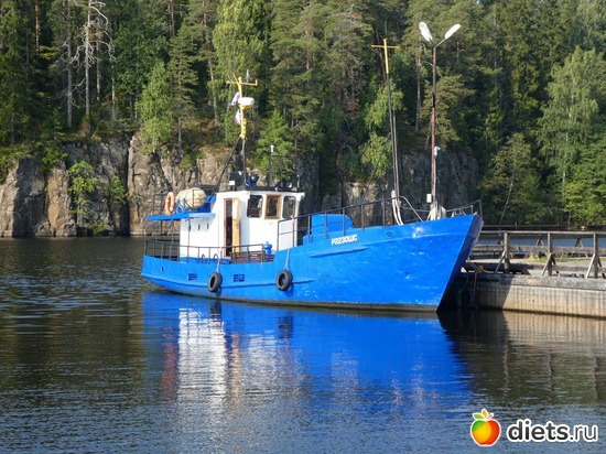 14 ����: ���� �� �������