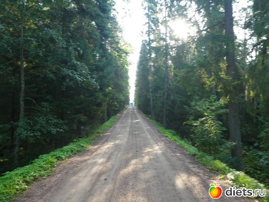 9 ����: ���� �� �������