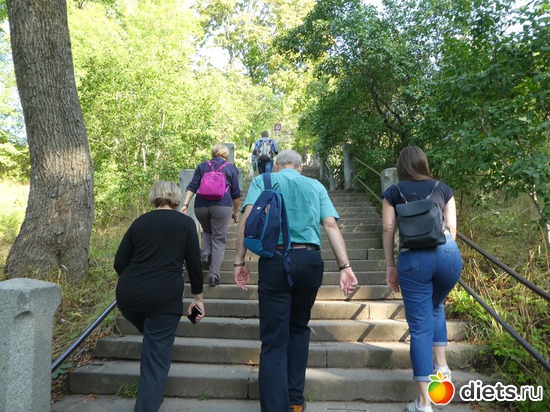 16 ����: ���� �� �������