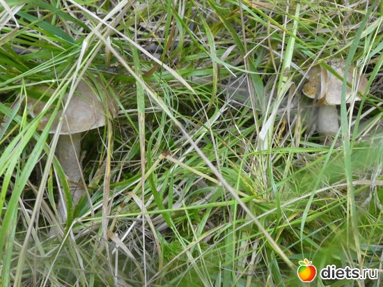 11 ����: ���� �� �������