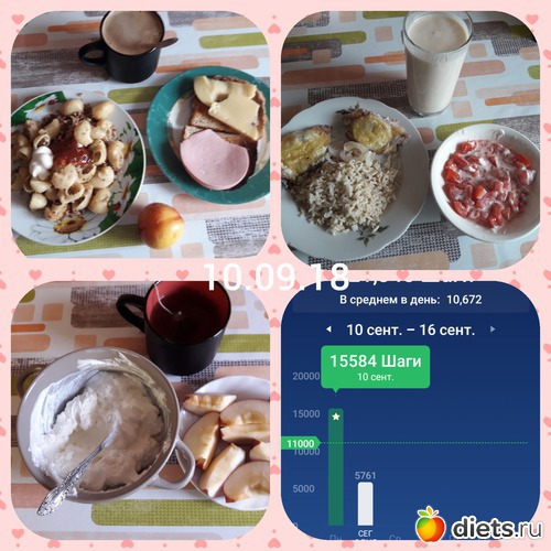 26 ����: ���������