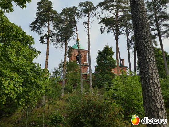 9 ����: ����� �������