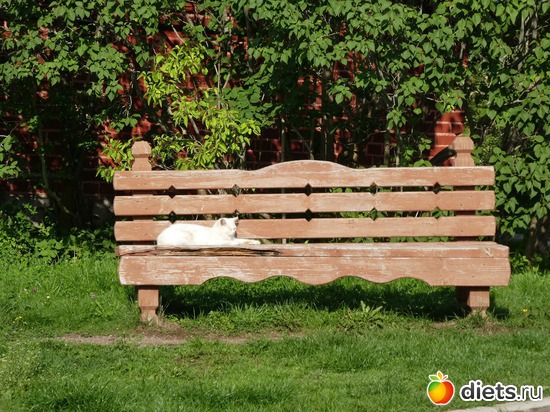 16 ����: ����� �������