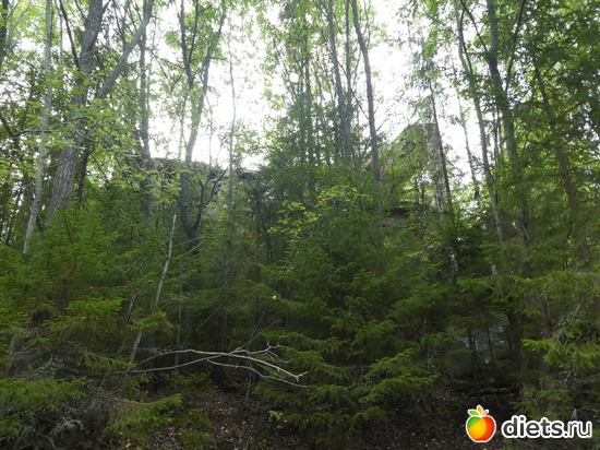 50 ����: ����� �������