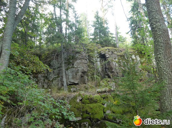 51 ����: ����� �������