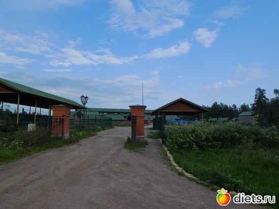 23 ����: ����� �������