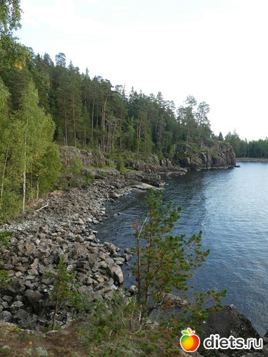 26 ����: ����� �������