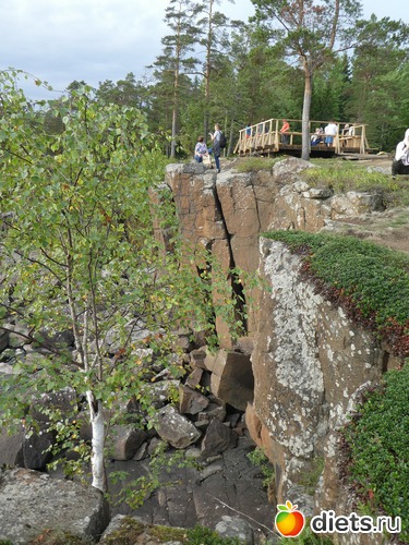 29 ����: ����� �������