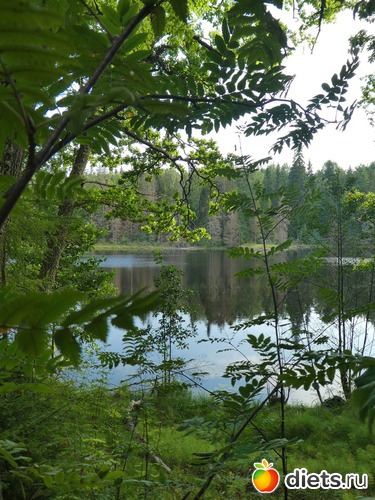 33 фото: Скиты Валаама