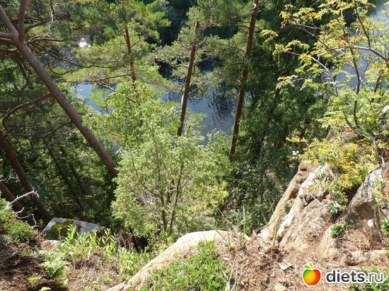 42 ����: ����� �������