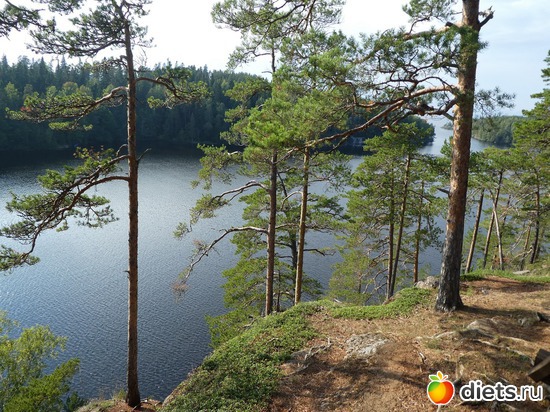 44 ����: ����� �������