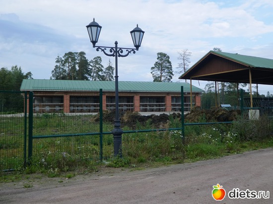 47 ����: ����� �������