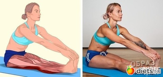 5 ����: ��������