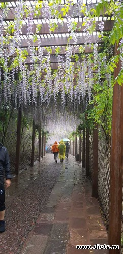 25 ����: �������� 2018. 55� ���� ��������. �������������� �����