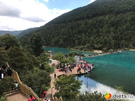 31 ����: �������� 2018. 55� ���� ��������. �������������� �����