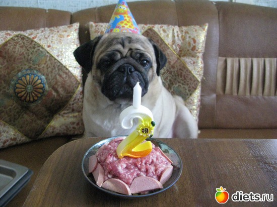 1 ����: ��������