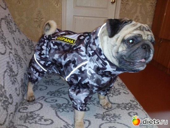 2 ����: ��������