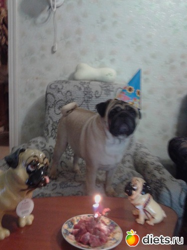 3 ����: ��������