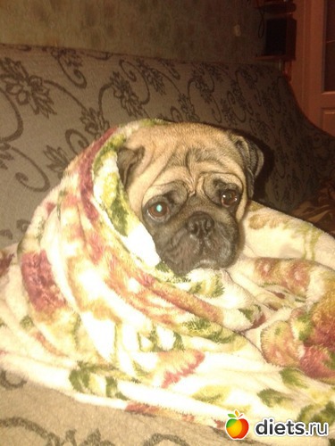 4 ����: ��������