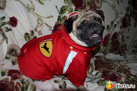 5 ����: ��������