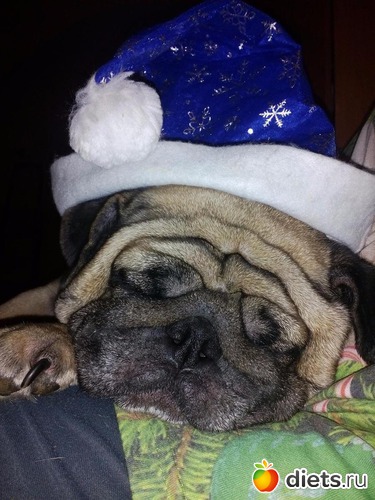 6 ����: ��������