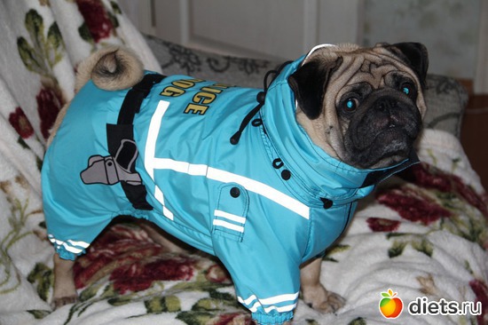 7 ����: ��������