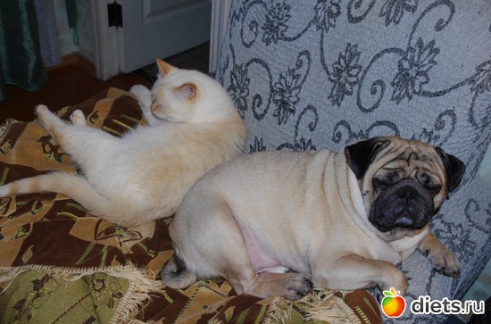 8 ����: ��������