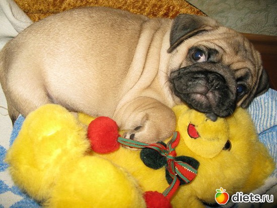 9 ����: ��������