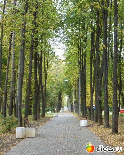 3 ����: ����� � �������, 2018