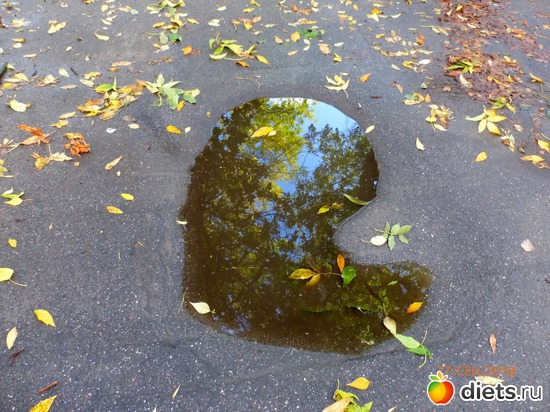 1 фото: Осень в Волхове, 2018