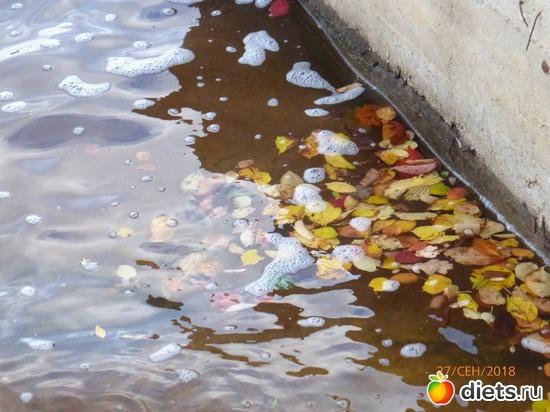 6 ����: ����� � �������, 2018