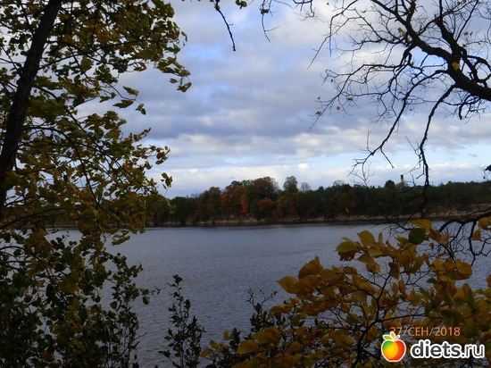 8 ����: ����� � �������, 2018