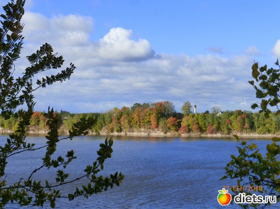 9 ����: ����� � �������, 2018