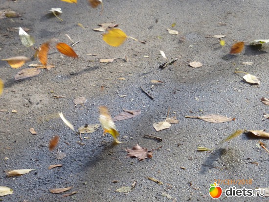 10 ����: ����� � �������, 2018