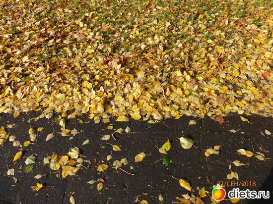 11 ����: ����� � �������, 2018