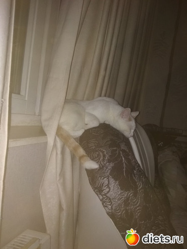 ������2, ������: �������� ������� ������