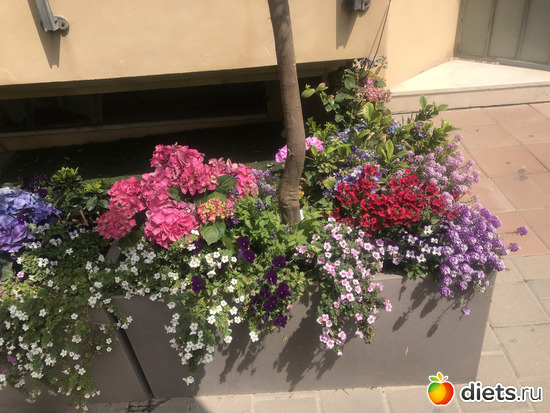 12 ����: ������ 2019