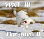 Забег по системе " Минус 60". отчёт по питанию за 05.04.2019