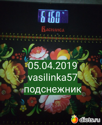 41 ����: ���