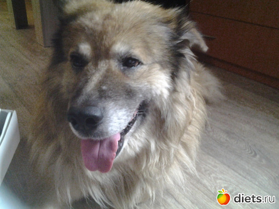 �����, ������: ��� �