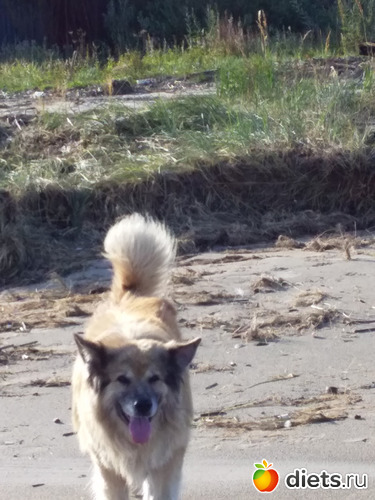 �����, ������: ��� �