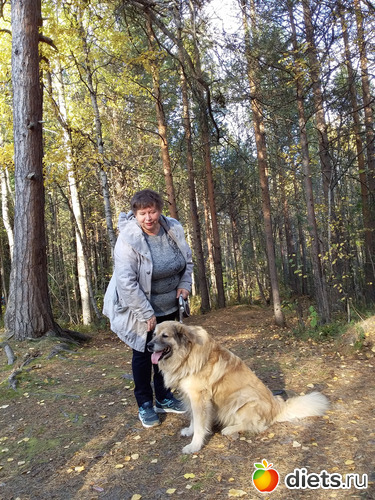 � ����., ������: ��� �