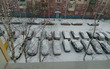 4/90 Фруктовый день и Зачем вернулась зима?
